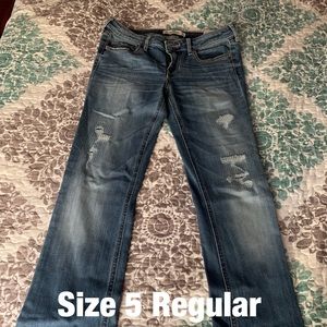 Hollister bootcut jeans